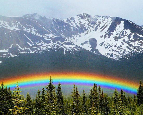 Jasper Artists Guild Brush Fire Gallery