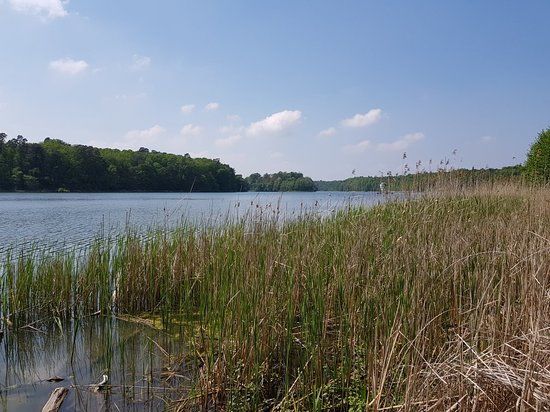Nationaal Park Wielkopolska
