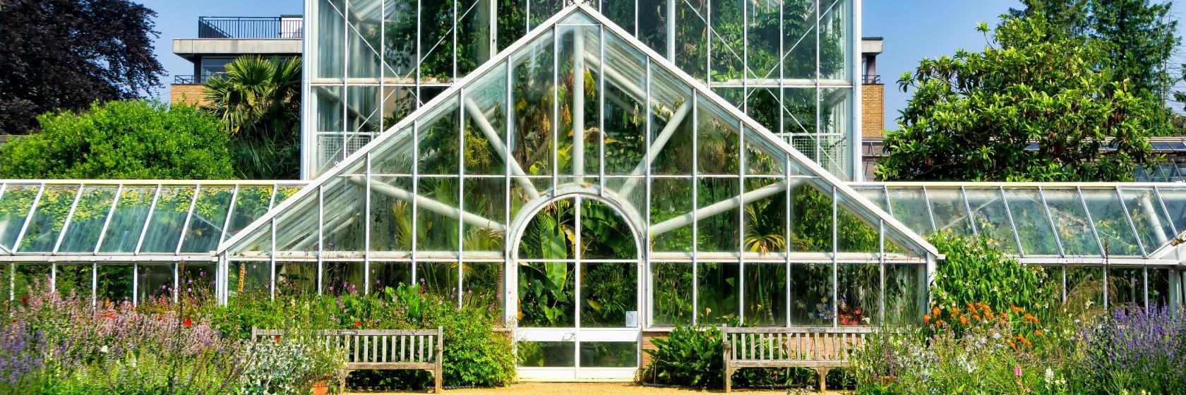 Botanische tuin van de universiteit