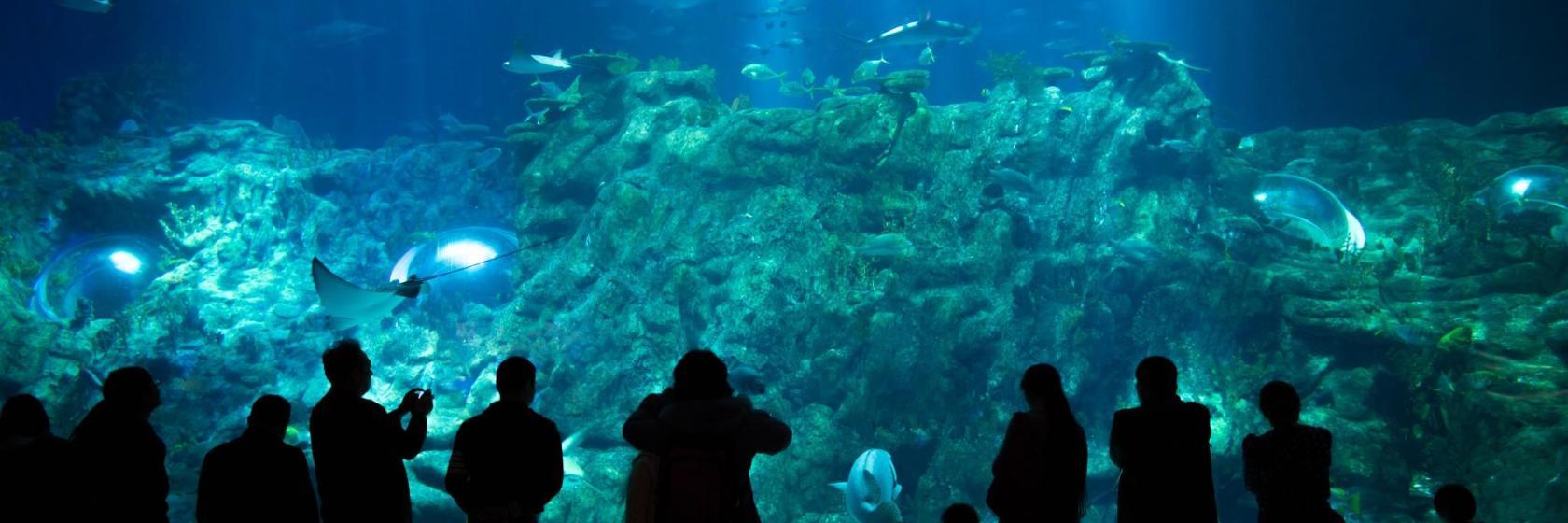 Wetenschappelijk Centrum van Koeweit