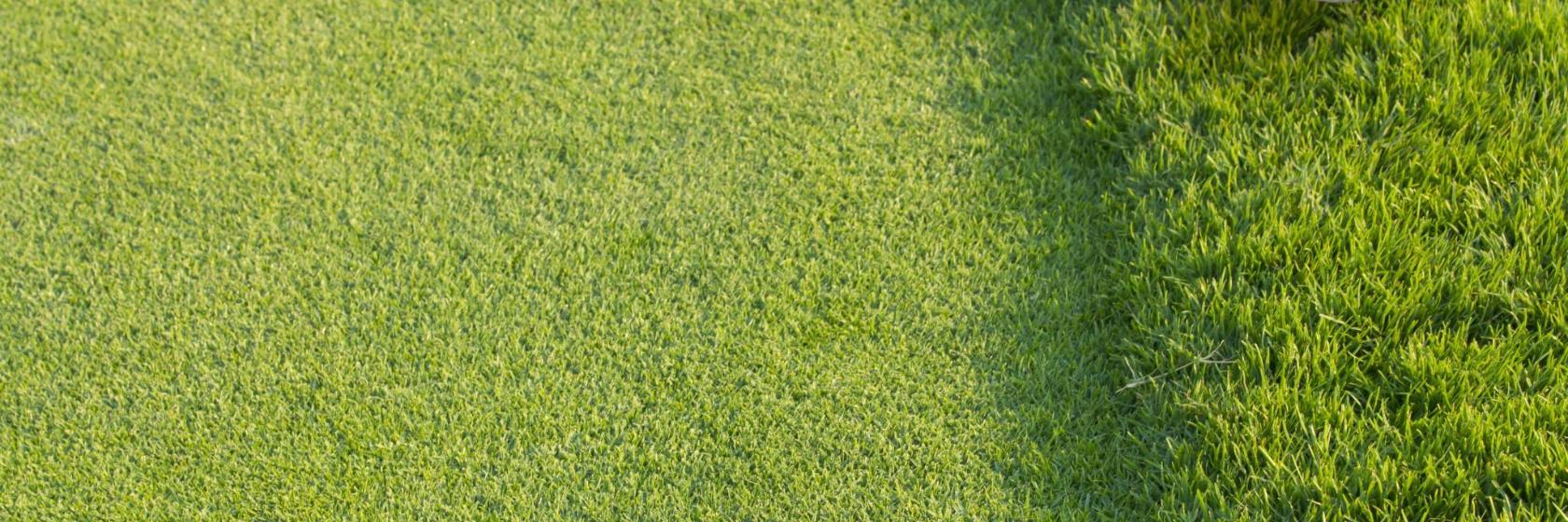 La Cala Golf & Country Club