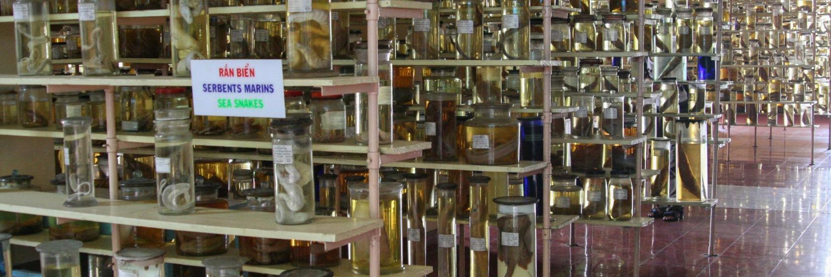 Instituut voor Oceanografie