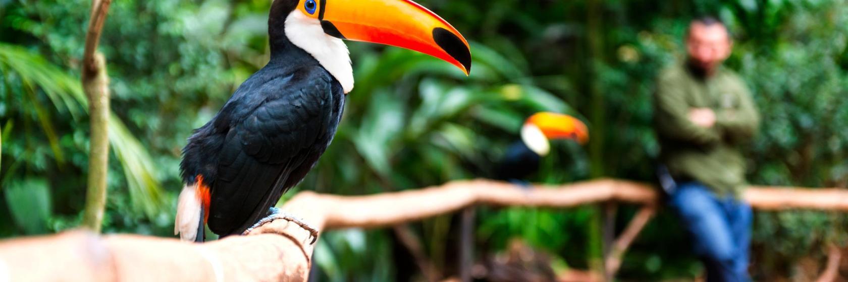 Parque Nacional do Iguacu