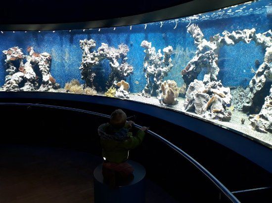 Aquazoo Lobbecke Museum Dusseldorf