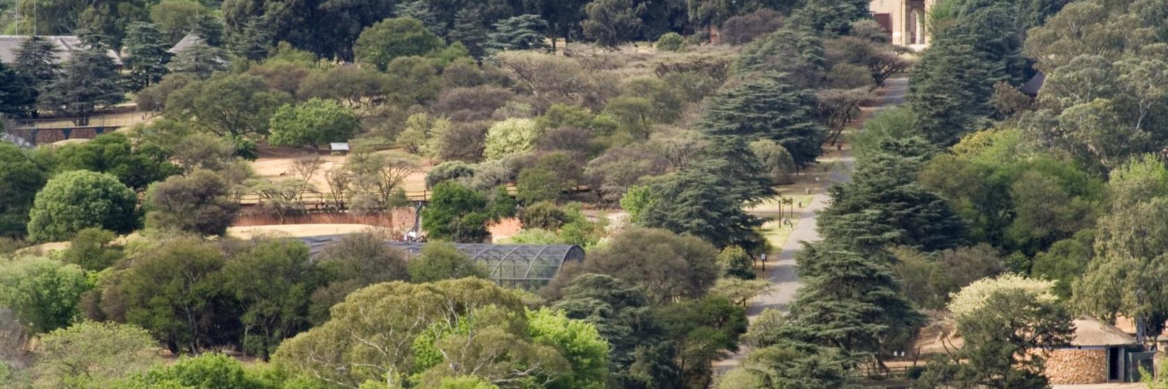 Dierentuin van Johannesburg