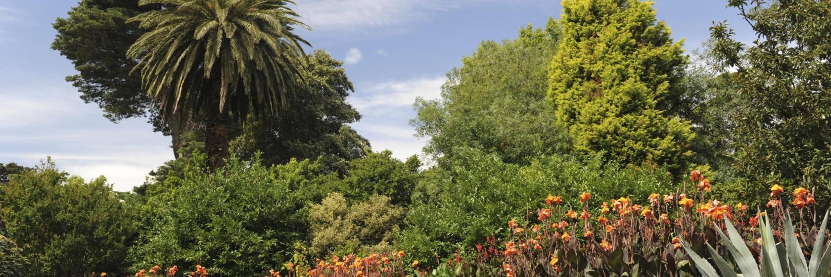 Koninklijke Botanische Tuinen Melbourne