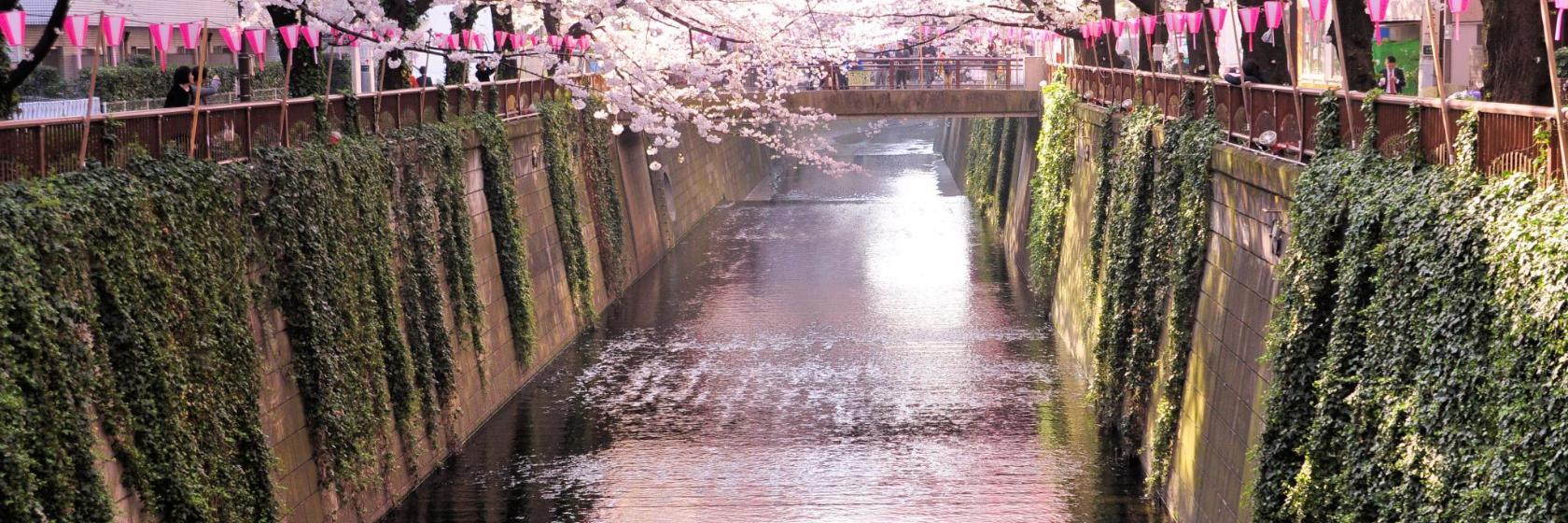 Galerie Atelier De Kaai