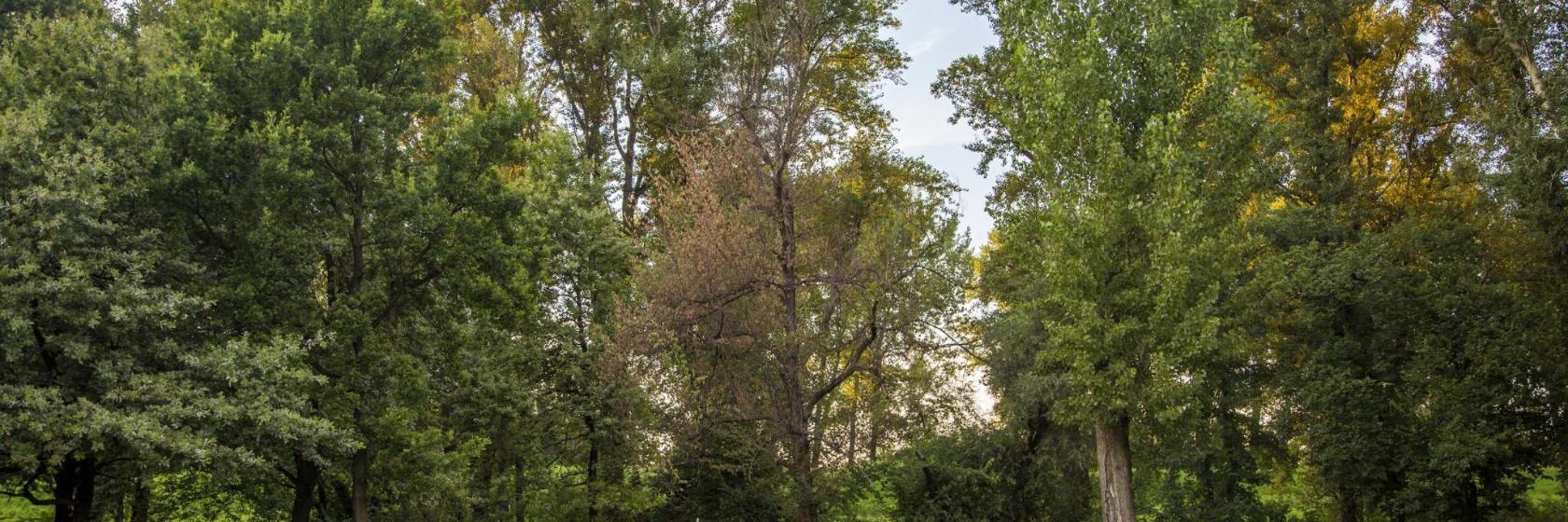 Golfclub van Le Touquet