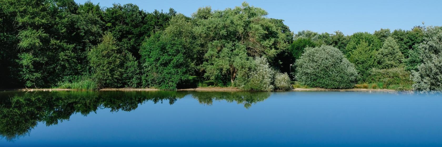 Martin-Luther-King-Park