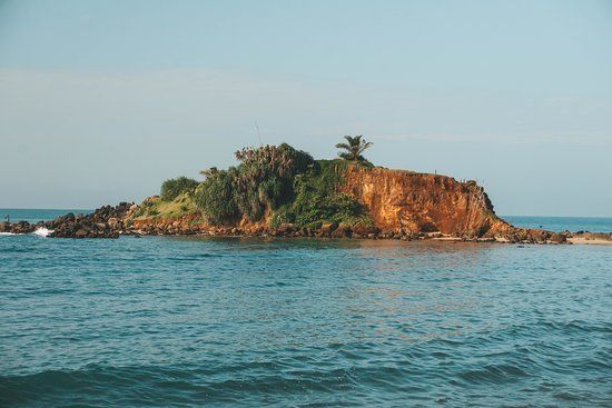 Parrot Rock Bridge