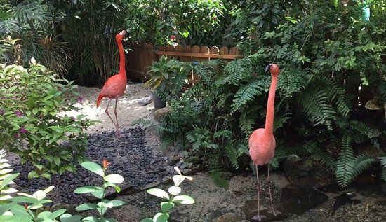 Vlinder- en natuurreservaat van Key West