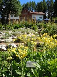 Botanische Alpinetuin Viotte