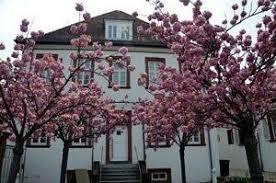 Museum of viticulture and local history