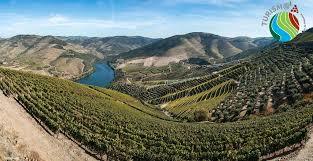 Quinta das Carvalhas