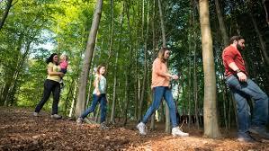 Huis van het natuurpark der Scheldevlakte