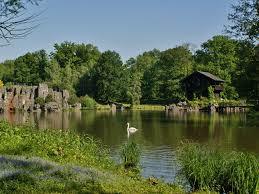 Wildpark Anholter Schweiz