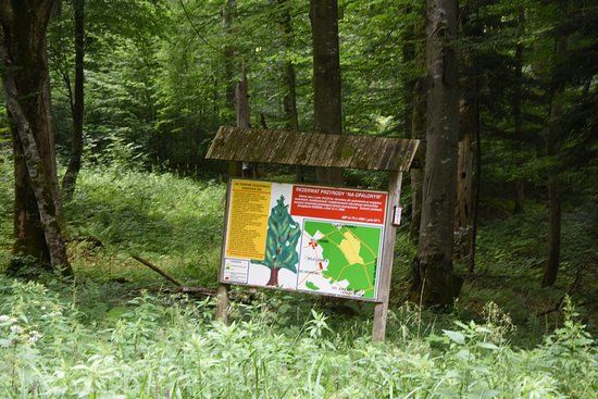 Rezerwat przyrody Na Opalonym