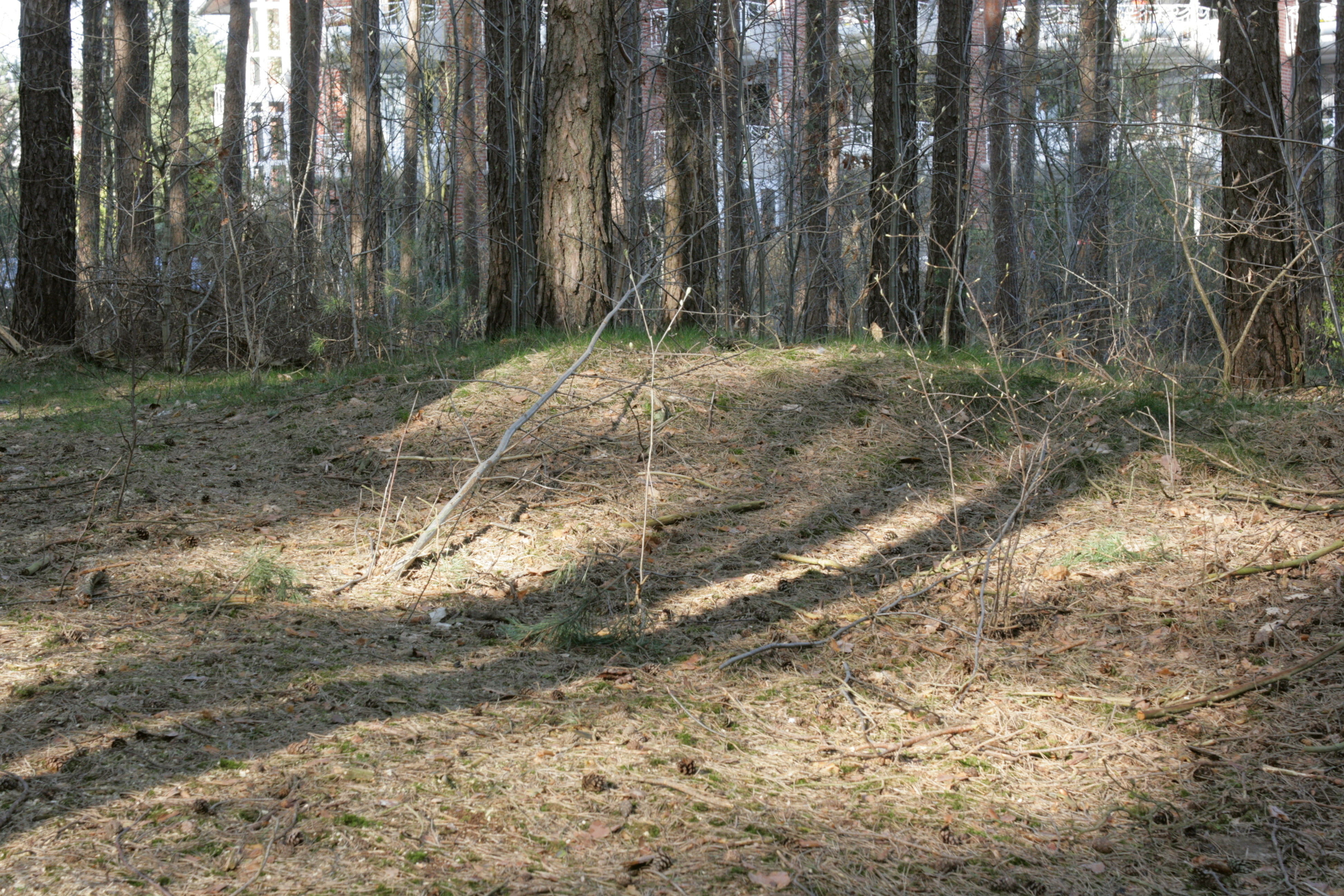 Buckelgraberfeld von Bad Bevensen