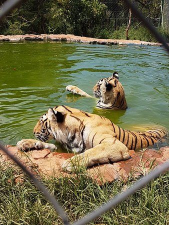 MBIDI Resort & Animal Sanctuary