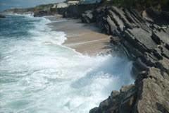 Cape Mondego Natural Monument