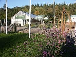 Brunnsvikens Tradgard