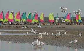 Ecole de char a voile Au Gre Du Vent