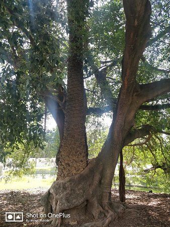 Dierentuin van Buenos Aires