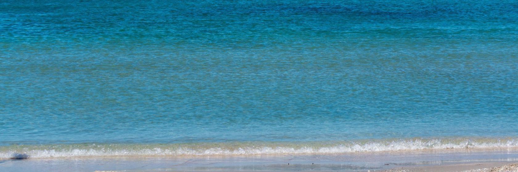 Strand van L'Almanarre