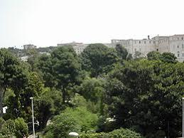 Orto Botanico dell'Università di Cagliari