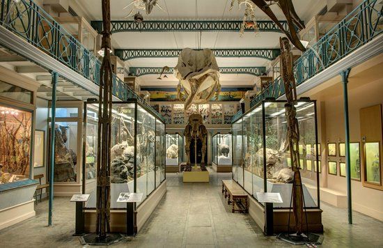 Natuurhistorisch Museum