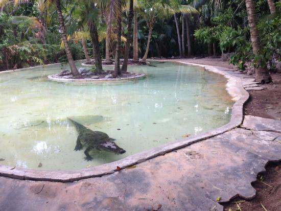 Dierentuin Crococun