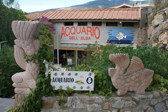 Aquarium van Elba