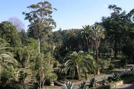 Orto Botanico di Portici