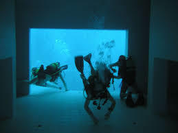 Nemo33