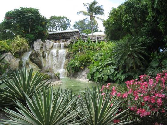 Jardin botanique de Deshaies