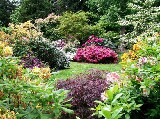 Botanical & Zoo park