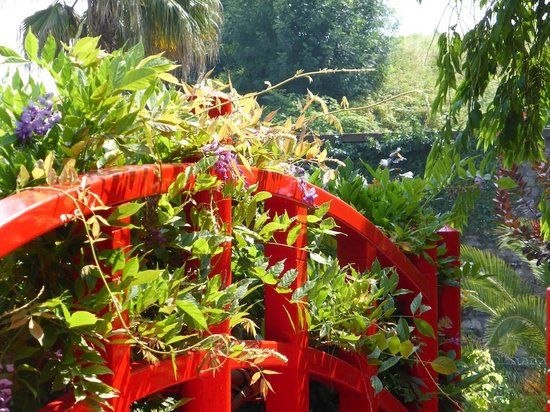 Jardin botanique de Bayonne