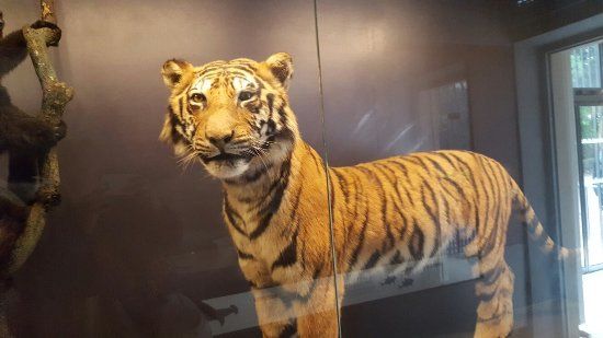 Muséum d'Histoire Naturelle