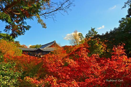 Tofuku-ji-tempel