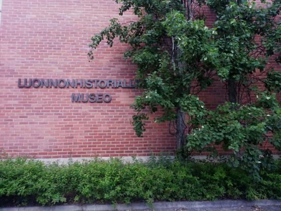 Natuurhistorisch museum van Forssa