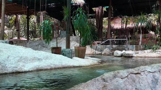 Rock Valley Hot Spring and Fish Spa