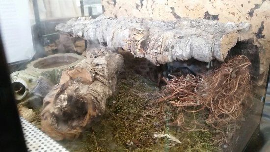 Kinder & Jugendmuseum