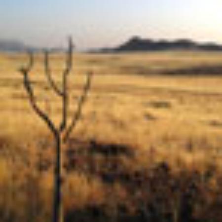 Randalls Bar Brasserie