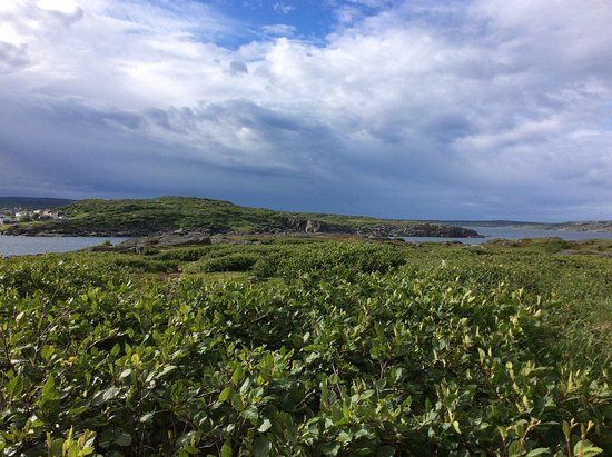 Cartier's View Trail