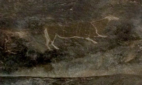 Bushmen Art at Schaaplaats Farm