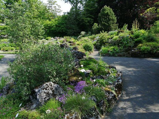 Botanischer Garten Gießen