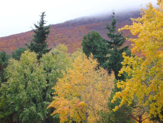 Moncayo Nature Reserve